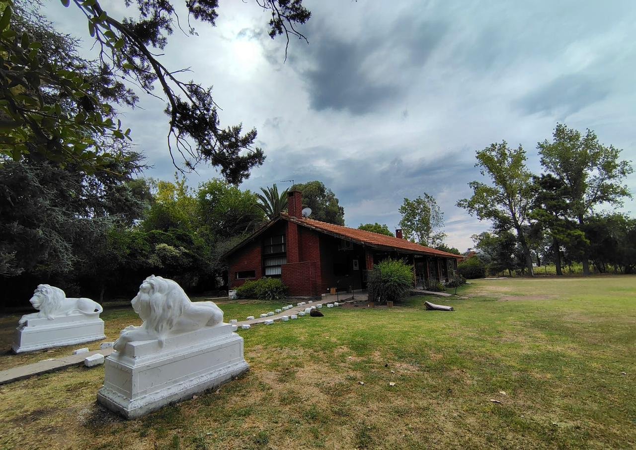 WhatsApp Image 2026-03-17 at 18.03.01